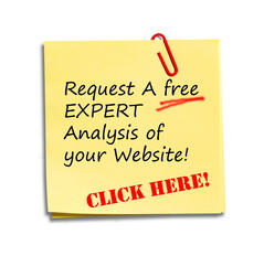 Free SEO Analysis